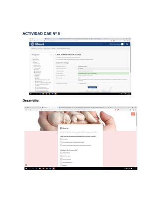 ACTIVIDAD CAE Nº 5
Desarrollo:
 
