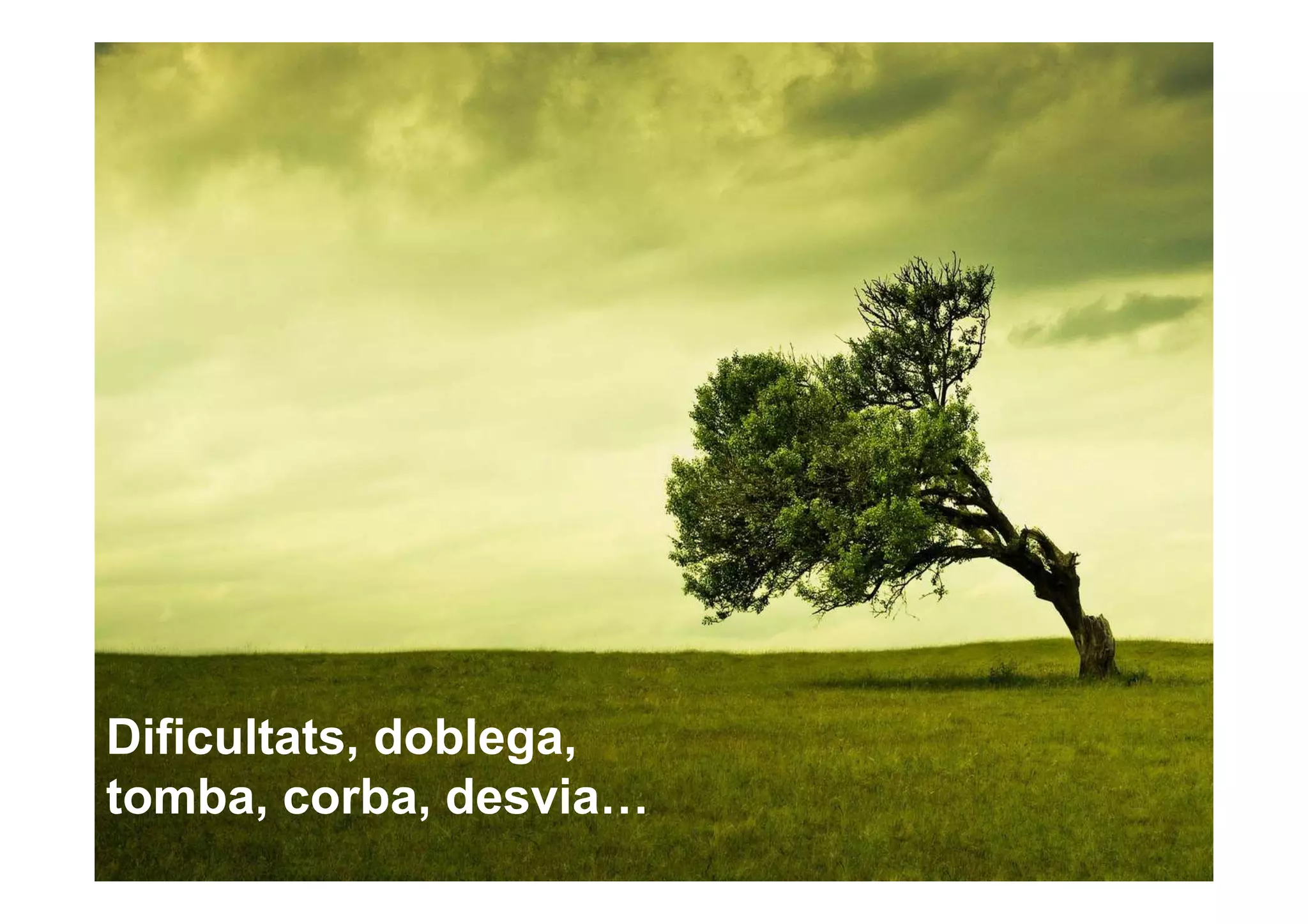 Dificultats, doblega,
tomba, corba, desvia…
 