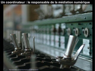 Un coordinateur : le responsable de la médiation numérique 
Source : http://www.flickr.com/photos/markameleon/2154130293 
 
