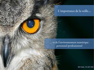 L’importance de la veille… 
… et de l’environnement numérique 
personnel/professionnel 
Bill Hails. CC-BY-ND 
 