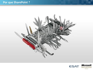 Por que SharePoint ?
 