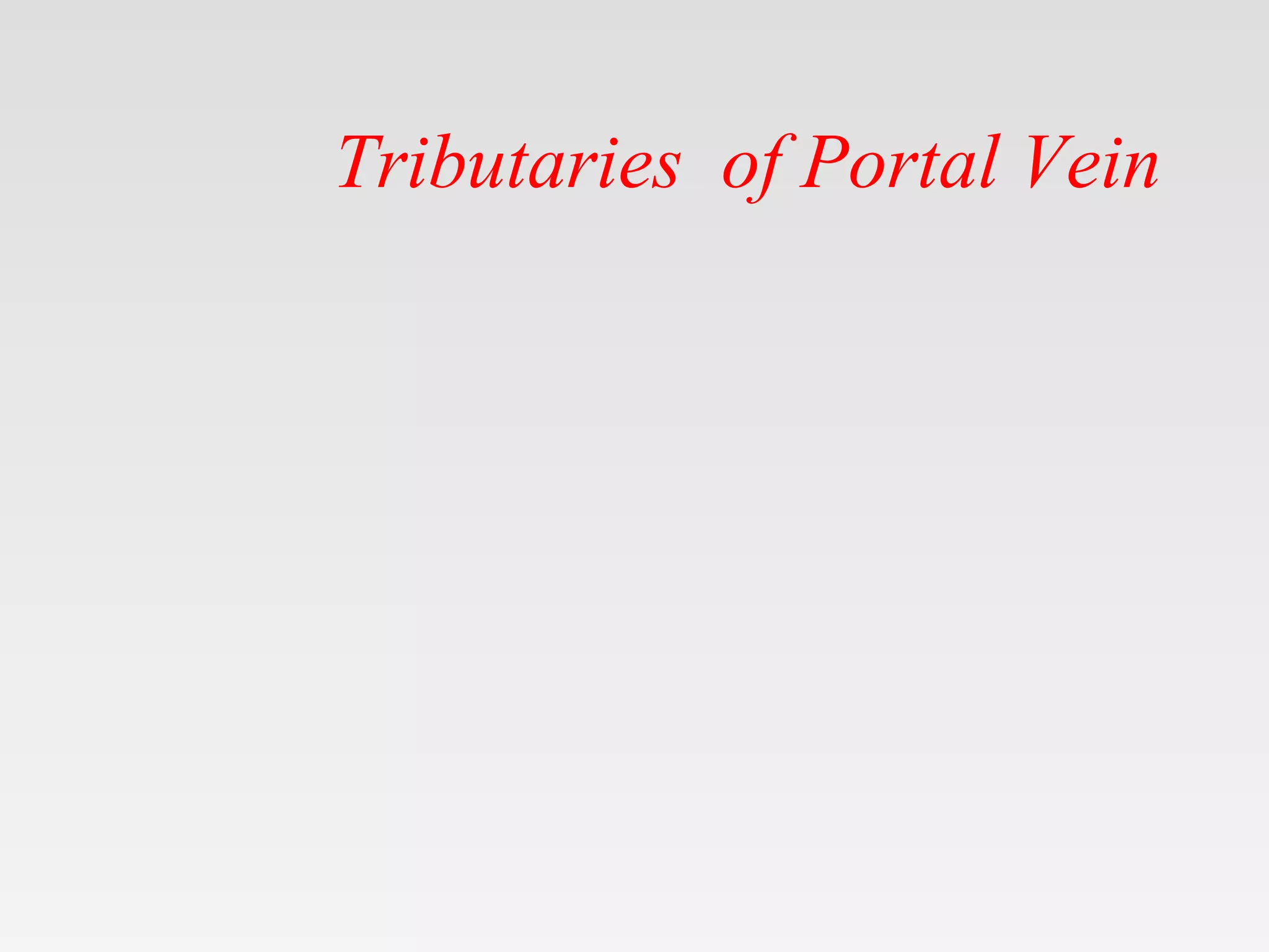 Tributaries of Portal Vein
 