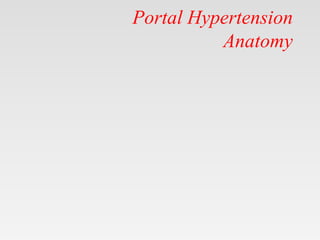 Portal Hypertension
Anatomy
 