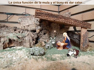 La única función de la mula y el buey es dar calor…
 