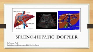 SPLENO-HEPATIC DOPPLER
Dr.Pradeep Patil
Radiodiagnosis Department, D.Y Patil Kolhapur
 