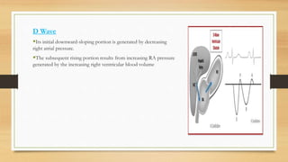 D Wave
Its initial downward-sloping portion is generated by decreasing
right atrial pressure.
The subsequent rising portion results from increasing RA pressure
generated by the increasing right ventricular blood volume
 