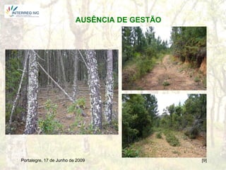 AUSÊNCIA DE GESTÃO




Portalegre, 17 de Junho de 2009                [9]
 
