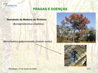 PRAGAS E DOENÇAS


 Nematodo da Madeira do Pinheiro
        (Bursaphelenchus xilophilus)




Monochamus gallprovincialis (Insecto vector)




    Portalegre, 17 de Junho de 2009               [11]
 