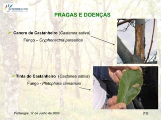 PRAGAS E DOENÇAS


 Cancro do Castanheiro (Castanea sativa)
         Fungo – Cryphonectria parasitica




 Tinta do Castanheiro           (Castanea sativa)
           Fungo - Phitophora cinnamoni




   Portalegre, 17 de Junho de 2009                   [12]
 