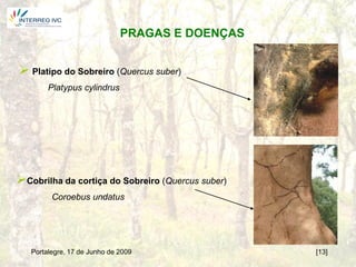 PRAGAS E DOENÇAS


 Platipo do Sobreiro (Quercus suber)
        Platypus cylindrus




Cobrilha da cortiça do Sobreiro (Quercus suber)
         Coroebus undatus




   Portalegre, 17 de Junho de 2009                 [13]
 