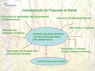 Caracterização da Freguesia de Belver
Diminuição da capacidade física proprietários
                                                   abandono da Actividade Agrícola
( envelhecimento)


                                                              Diminuição n.º pessoas
 Alteração das
 condições climáticas         Aumento das áreas florestais
                              ( de forma desorganizada,
                              sem planeamento)


                                                       Diminuição n.º animais
     Diminuição das limpezas dos                       (ovinos, caprinos e bovinos)
     povoamentos florestais


                                 Aumento das áreas ardidas
 