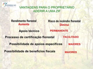 VANTAGENS PARA O PROPRIETÁRIO
                 ADERIR A UMA ZIF


    Rendimento florestal      Risco de incêndio florestal
         Aumenta                       Diminui

          Apoio técnico        PERMANENTE

Processo de certificação florestal        FACILITADO

   Possibilidade de apoios específicos        MAIORES

Possibilidade de benefícios fiscais        MAIORES
 