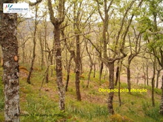 Obrigado pela atenção




Portalegre, 17 de Junho de 2009                      [13]
 