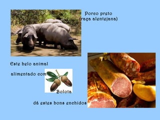 Bolota
dá estes bons enchidos
Este belo animal
alimentado com
Porco preto
(raça alentejana)
 