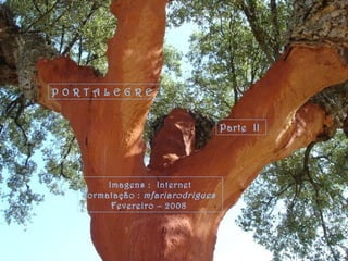 P O R T A L E G R E
Parte II
Imagens : Internet
Formatação : mfariarodrigues
Fevereiro – 2008
 