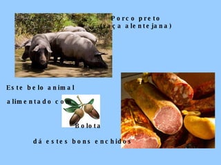 Bolota dá estes bons enchidos Este belo animal alimentado com Porco preto (raça alentejana) 