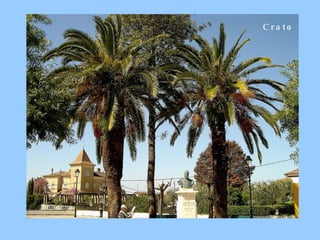 Crato   