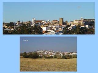 Avis  
