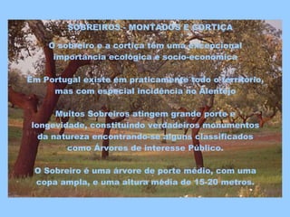 SOBREIROS - MONTADOS E CORTIÇA   O sobreiro e a cortiça têm uma excepcional importância ecológica e socio-económica Em Portugal existe em praticamente todo o território, mas com especial incidência no Alentejo Muitos Sobreiros atingem grande porte e longevidade, constituindo verdadeiros monumentos da natureza encontrando-se alguns classificados como Árvores de interesse Público. O Sobreiro é uma árvore de porte médio, com uma copa ampla, e uma altura média de 15-20 metros. A área ocupada pelo sobreiro, em Portugal, é superior a 700.000 hectares 