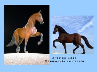 Alter do Chão Monumento ao cavalo 