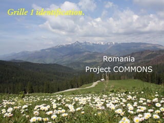 Grille 1 identification.




                                Romania
                           Project COMMONS
 