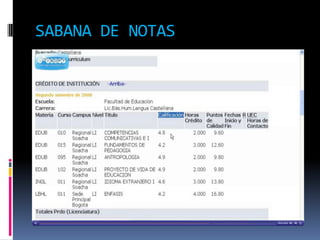 SABANA DE NOTAS
 