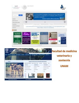 Portales universidad