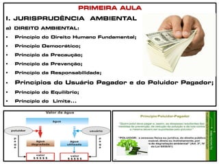 PRIMEIRA AULA
I. JURISPRUDÊNCIA AMBIENTAL
a) DIREITO AMBIENTAL:
 Princípio do Direito Humano Fundamental;
 Princípio Democrático;
 Princípio da Precaução;
 Princípio da Prevenção;
 Princípio da Responsabilidade;
 Princípios do Usuário Pagador e do Poluidor Pagador;
 Princípio do Equilíbrio;
 Princípio do Limite...
 