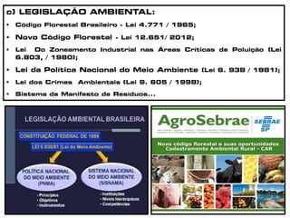 c) LEGISLAÇÃO AMBIENTAL:
 Código Florestal Brasileiro - Lei 4.771 / 1965;
 Novo Código Florestal - Lei 12.651/ 2012;
 Lei Do Zoneamento Industrial nas Áreas Críticas de Poluição (Lei
6.803, / 1980);
 Lei da Política Nacional do Meio Ambiente (Lei 6. 938 / 1981);
 Lei dos Crimes Ambientais (Lei 9. 605 / 1998);
 Sistema de Manifesto de Resíduos...
 