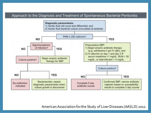 sld Guidelines Sbp Prophylaxis