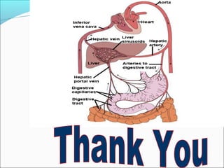 Portal hypertension paediatrics