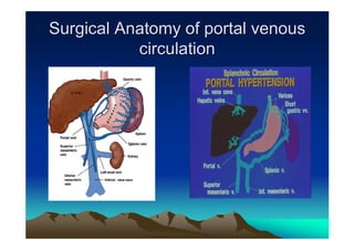 Surgical Anatomy of portal venous
           circulation
 