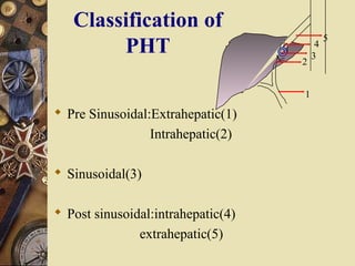 Portal hypertension | PPT