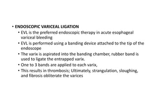 Portal Hypertension | PPTX