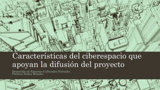Características del ciberespacio que
apoyan la difusión del proyecto
Desarrollo de Entornos Culturales Virtuales
Patricia Núñez Morales
 