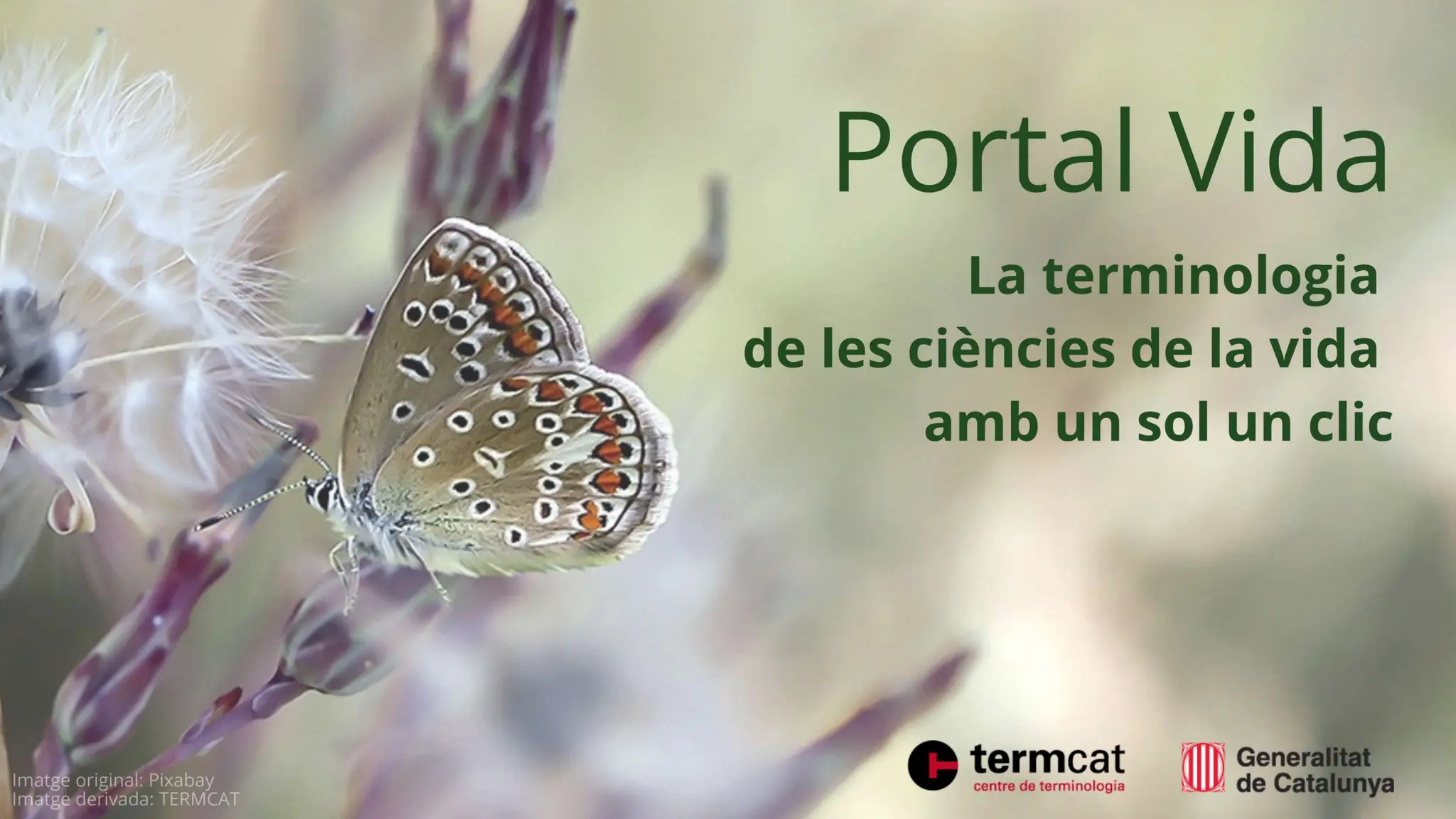 Portal Vida: La terminologia de les ciències de la vida amb un sol clic. M. Antònia Julià