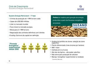 Ciclo de Crescimento
Suzano Energia Renovável


Suzano Energia Renovável – 1ª fase
                                                              Pellets de madeira para geração de energia,
• 3 linhas de produção de 1 MM ton/ano cada
                                                              produzidos a partir de florestas energéticas
• Capex de US$ 800 milhões
                                                              renováveis
• Líder no mercado mundial
• Foco inicial no mercado europeu
• MoUs para 3,1 MM ton/ano
• Negociação dos contratos definitivos com clientes
•Funding: Estrutura de capital em definição


                                                      • Análise do portfólio de clones: seleção de clone
                                                          específico
“Floresta
Energética”                                           •   Plantio diferenciado (mais árvores por hectare)
experimental                                          •   IMA1 maior
desde 2008                                            •   Colheita em 2 a 3 anos
                                                      •   Alto teor de lignina – alto poder calorífico
                                                      •   Não serve para produção de celulose
                                                      •   Manejo “energético” experimental no nordeste
                                                          1   Incremento médio anual
12
 