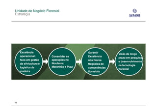 Unidade de Negócio Florestal
Estratégia




     Excelência                             Garantir
                                                           Visão de longo
     operacional:        Consolidar as      Excelência
                                                           prazo em pesquisa
     foco em gestão      operações no       nos Novos
                                                           e desenvolvimento
     da silvicultura e   Nordeste:          Negócios de
                                                           na tecnologia
     logística da        Maranhão e Piauí   competências
                                                           florestal
     madeira                                florestais




18
 