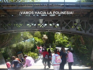 ¡VAMOS HACIA LA POLINESIA!¡VAMOS HACIA LA POLINESIA!
 