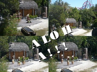 A LO H
A LO H
A ! ! !
A ! ! !
 