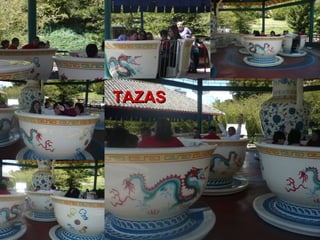 TAZASTAZAS
 