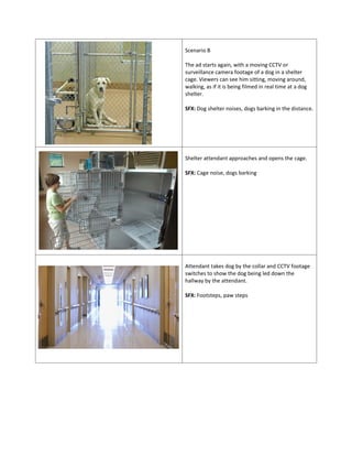 Scenario B
The ad starts again, with a moving CCTV or
surveillance camera footage of a dog in a shelter
cage. Viewers can see him sitting, moving around,
walking, as if it is being filmed in real time at a dog
shelter.
SFX: Dog shelter noises, dogs barking in the distance.
Shelter attendant approaches and opens the cage.
SFX: Cage noise, dogs barking
Attendant takes dog by the collar and CCTV footage
switches to show the dog being led down the
hallway by the attendant.
SFX: Footsteps, paw steps
 