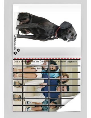 Give a little more love this Christmas. Adopt a shelter dog today.
www.SantaPaws.com
 