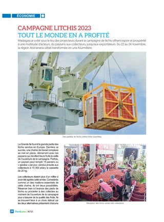 ÉCONOMIE
PortEcho | N°51
26
LaGrandeîlefournitlagrandepartiedes
litchis vendus en Europe. Derrière ce
succès, une chaîne de travail complexe
se met en place, démarrant avec les
paysans qui récoltent leurs fruits la veille
de l’ouverture de la campagne. Parfois,
un paysan peut remplir 15 paniers ou
« garaba » par jour, vendus ensuite aux
collecteurs à 15 000 ariary la caissette
de 20 kg.
Les collecteurs étaient plus d’un millier à
avoirétéagrééscetteannée.Considérés
comme un des maillons essentiels de
cette chaîne, ils ont deux possibilités.
Réserver bien à l’avance des pieds de
litchis ou procéder à des collectes au
moment de l’ouverture de la campagne
pour s’assurer de la qualité des fruits. Ils
se trouvent face à un choix délicat car
les deux alternatives présentent chacune
Madagascar a été sous le feu des projecteurs durant la campagne de litchis offrant espoir et prospérité
à une multitude d’acteurs, du paysans aux collecteurs, jusqu’aux exportateurs. Du 22 au 24 novembre,
la région Atsinanana s’était transformée en une fourmilière.
CAMPAGNE LITCHIS 2023
TOUT LE MONDE EN A PROFITÉ
Des palettes de litchis prêtes à être exportées
Réception des litchis venant des collecteurs
 