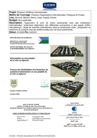 Projet: Directeur d’Affaires internationales 
Maître de l’ouvrage: Plusieurs Organisations Internationales, Publiques et Privées. 
Lieu: Burundi, Djibouti, Maroc, Libye, Angola, Azores. 
Budget: Non applicable. 
Description: Supervision et suivi de divers partenariats avec des entreprises 
internationales, notamment élaboration des différentes soumissions à des appels d’offre 
internationaux ; étude de marchés internationaux dans la construction civile ; prospection et 
recherche de contacts avec les entités locales pour de futurs partenariats. 
Début: 01/2009 Fin: 02/2010 
Fonction : Directeur de production et d’affaires internationales 
 