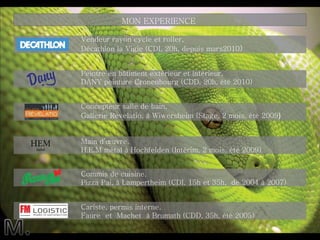 Vendeur rayon cycle et roller,  Décathlon la Vigie (CDI, 20h, depuis mars2010 ) Peintre en bâtiment extérieur et intérieur, DANY peinture Cronenbourg (CDD, 20h, été 2010)  MON EXPERIENCE  Concepteur salle de bain,  Gallerie Revelatio, à Wiwersheim (Stage, 2 mois, été 2009 ) Main d’œuvre,  H.E.M métal à Hochfelden (Intérim, 2 mois, été 2009) Commis de cuisine,  Pizza Pai, à Lampertheim (CDI, 15h et 35h,  de 2004 à 2007) Cariste, permis interne, Faure  et  Machet  à Brumath (CDD, 35h, été 2005) 