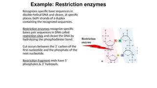 protein and enzyme ,including cell and its organells | PPTX