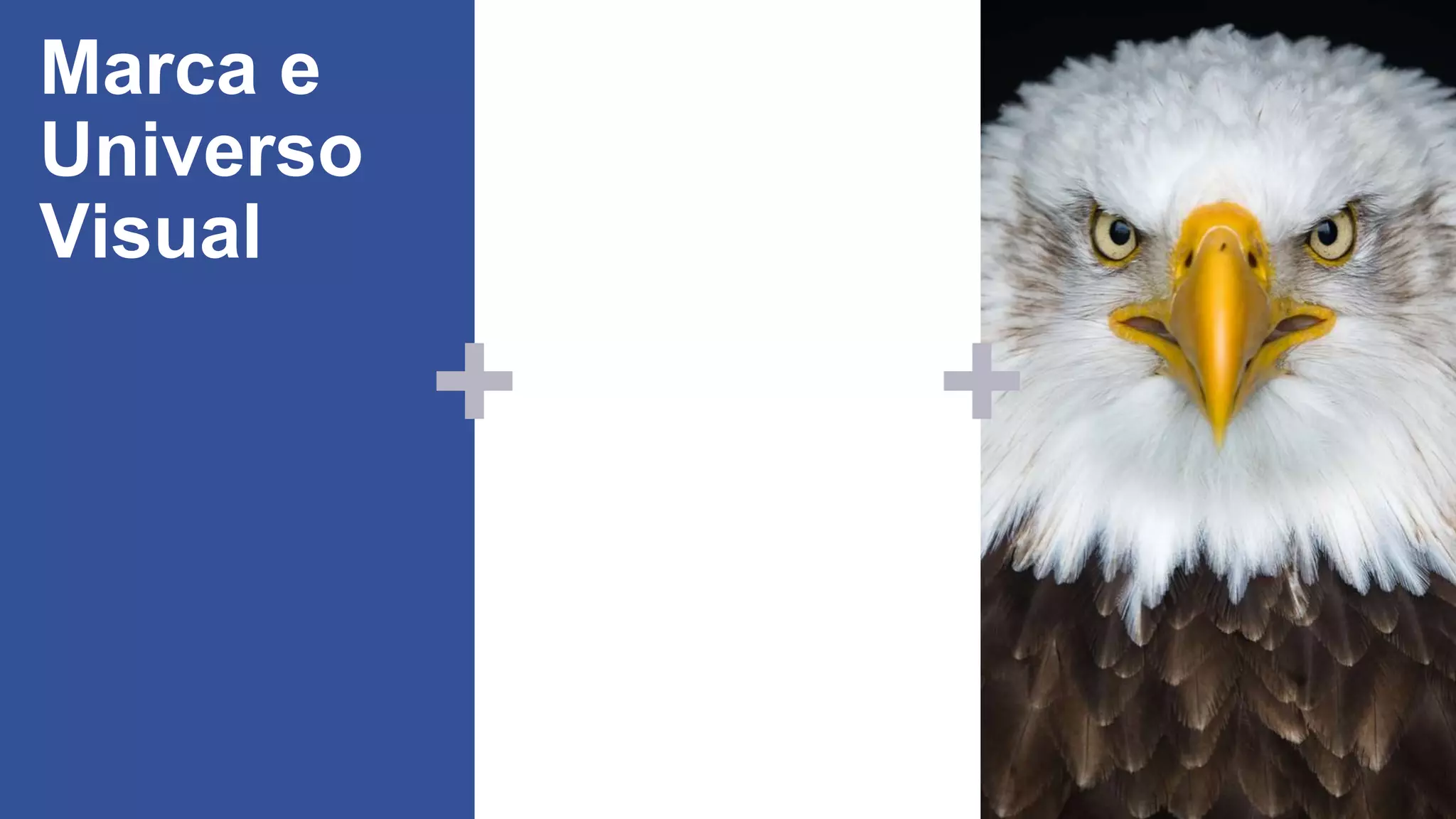 + +
Marca e
Universo
Visual
 