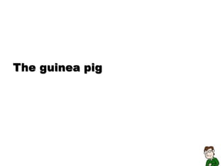 The guinea pig
 