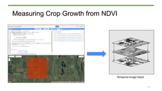 Measuring Crop Growth from NDVI
Temporal Image Stack
10
 